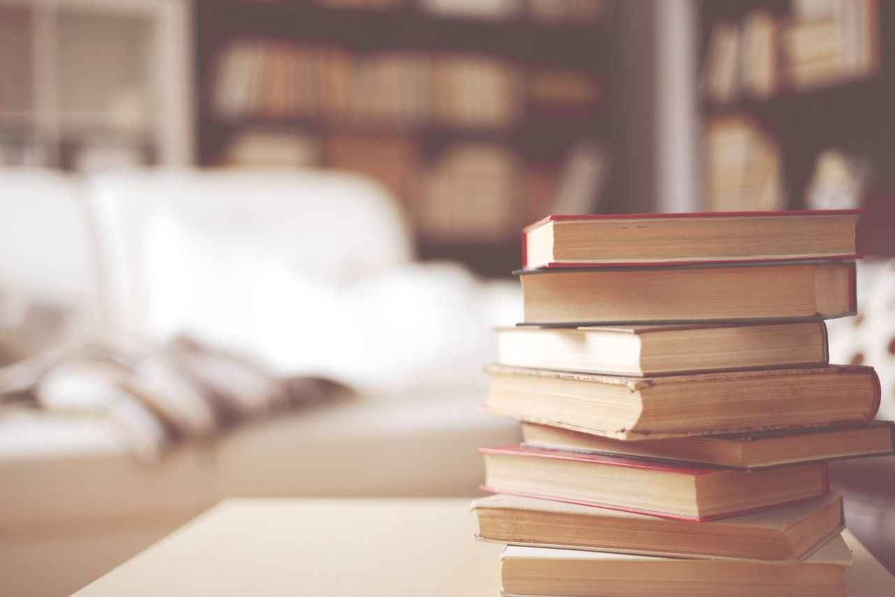 KİTAPLAR, FİKİRLER VE YOLCULAR